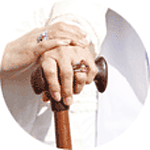 �t�����̃��n�r��