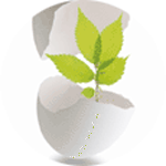 ���É����I�����Â��t�����O���[�v��